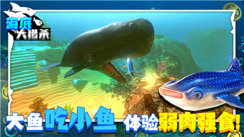 大航海时代是指什么时候？探索大航海时代背后的历史背景与影响