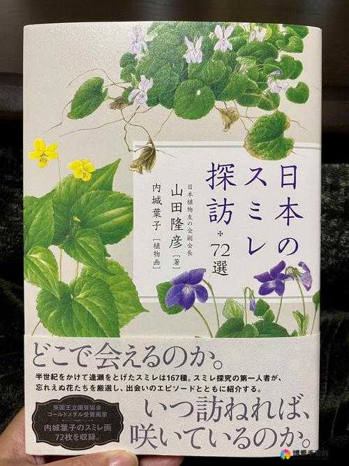 野花日本韩国大全免费版 6 精彩内容全知晓
