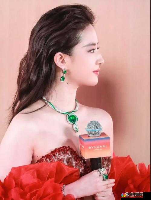 探寻刘亦菲滋润花苞 MP3 背后的神秘魅力