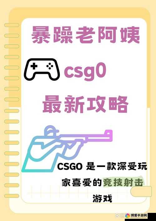 暴躁老阿姨CSGO攻略大全:助你驰骋游戏战场指南