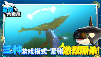 赛博朋克2077往日之影攻略对象：全面解析任务技巧与隐藏细节，助你掌控未来之城