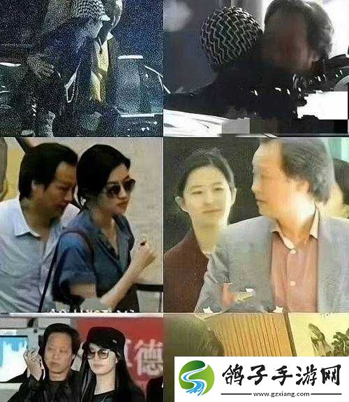 刘亦菲和陈金飞是什么关系