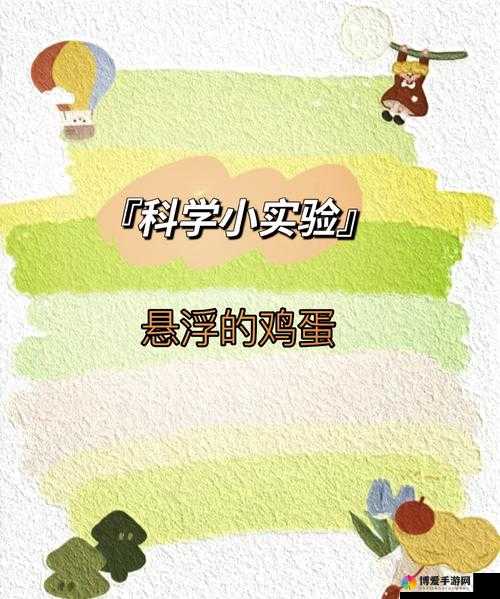 B 里可以放多少个鸡蛋图片:探究鸡蛋存放的奥秘