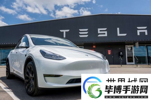 跌麻了！特斯拉股价暴跌15%
