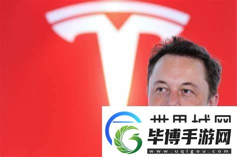 跌麻了！特斯拉股价暴跌15%