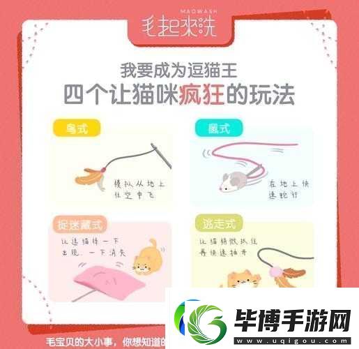 灵猫传逗猫棒使用秘籍大揭秘