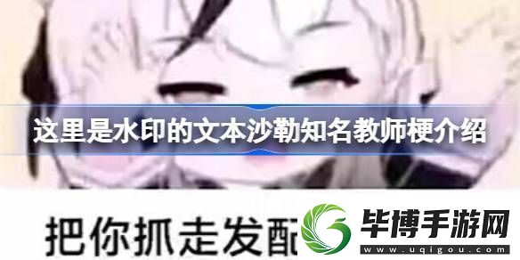 沙勒知名教师什么梗