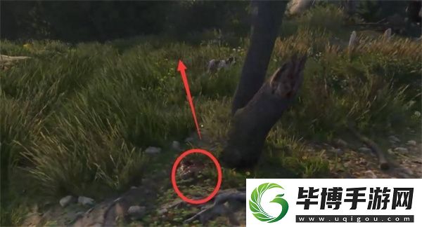 天国拯救2猎杀狼人支线任务攻略分享